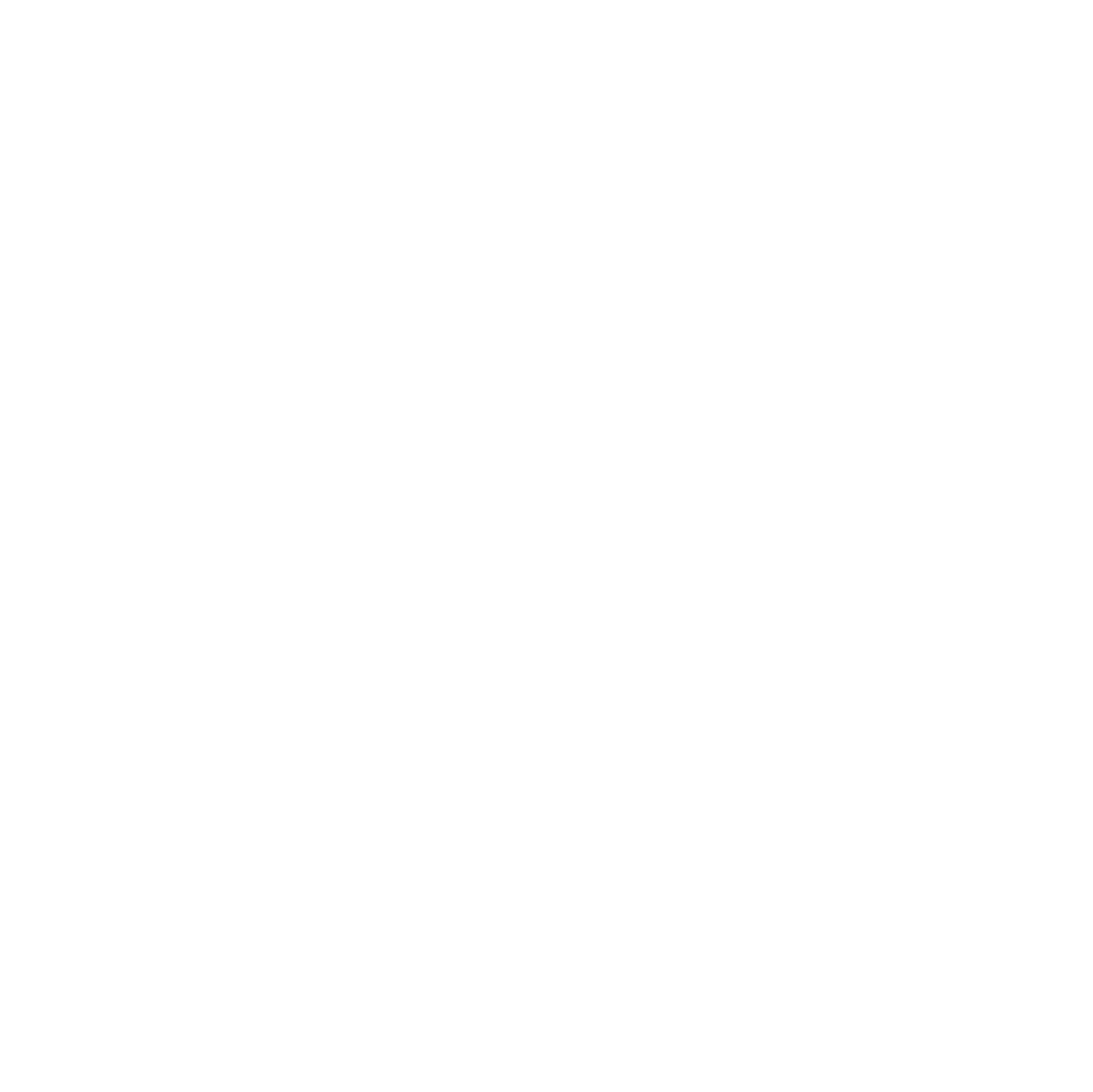 Steam